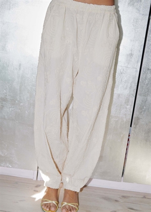 Iluna buks Champagne Sissel Edelbo 